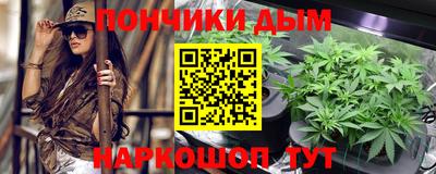 гидра Кингисепп
