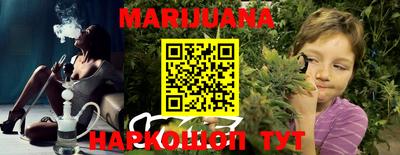 гидра Кингисепп