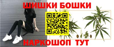 гидра Кингисепп