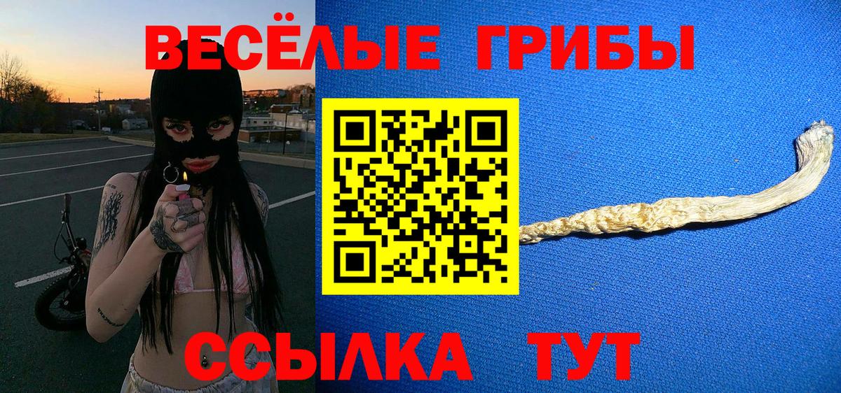 купить  сайты  Вход с VPN  Псилоцибиновые грибы MAGIC MUSHROOMS  Конаково  Псилоцибиновые грибы MAGIC MUSHROOMS 